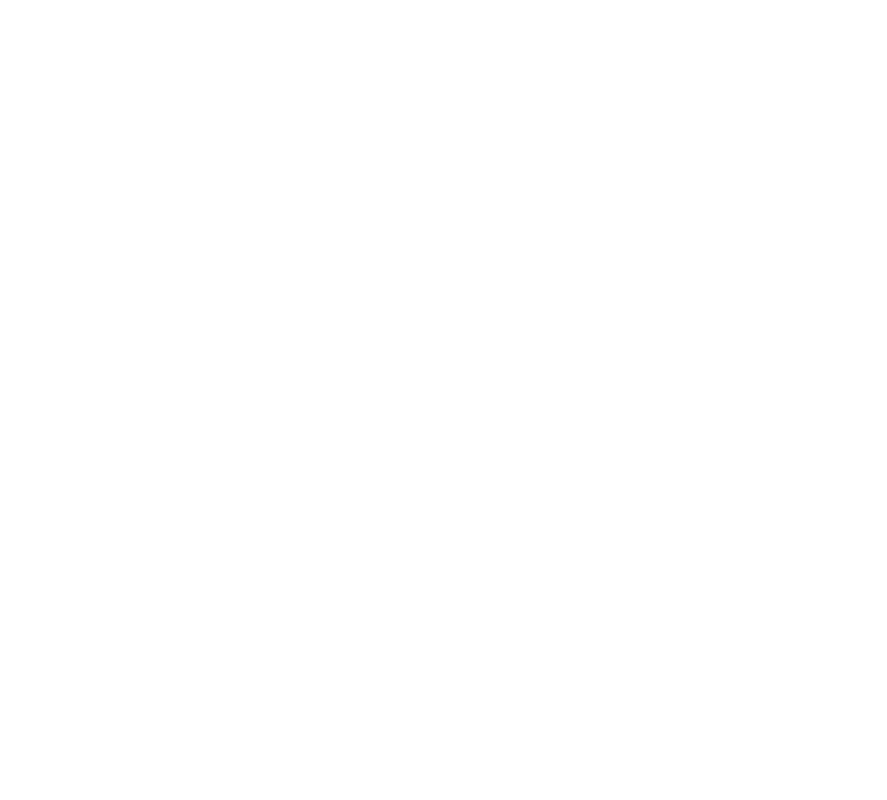 Stegasus